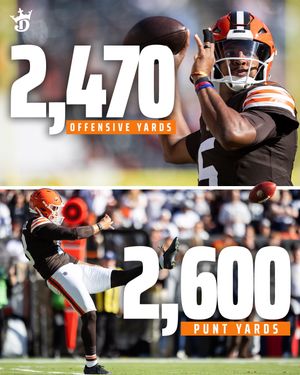 Video post by @draftkings on TikTok