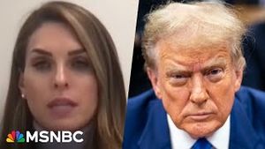 Video post by @msnbc on YouTube
