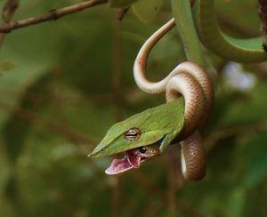 Image post by @discovery on Instagram