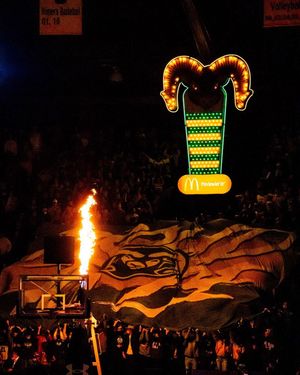 Image post by @csugoldenpoms on Instagram