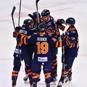 Image post by @swamprabbits on Instagram