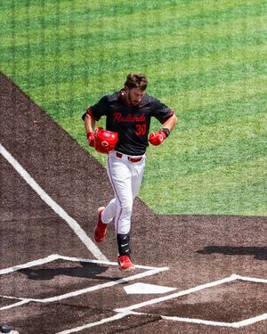Image post by @isuredbirdbaseball on Instagram