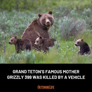 Image post by @outdoor_life on Instagram