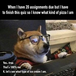 Image post by @9gag on Instagram