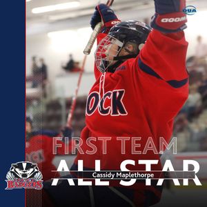 Image post by @Brock_W_Hockey on Twitter