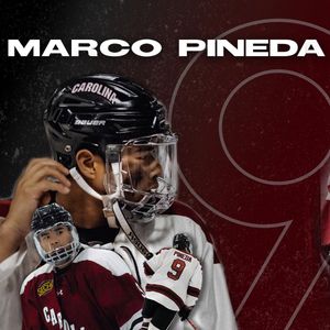 Image post by @cockhockey on Instagram