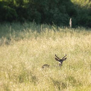 Image post by @ucsc on Instagram