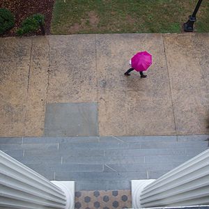 Image post by @universityofga on Instagram