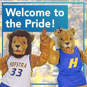 Image post by @hofstrau on Instagram