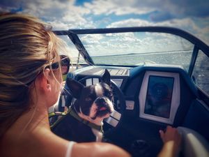 Image post by @tigeboats on Instagram