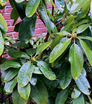 Image post by @scleggphotography on Instagram