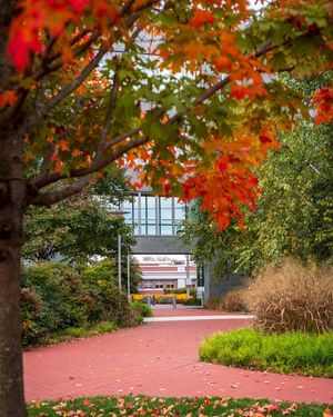 Image post by @udelaware on Instagram