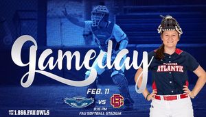Image post by @fausoftball on Instagram