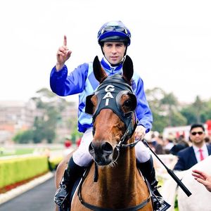 Image post by @australianturfclub on Instagram