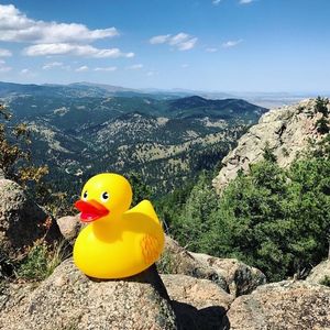 Image post by @playboulder on Instagram