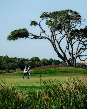 Image post by @pga on Instagram