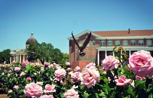 Image post by @officialsouthernmiss on Instagram