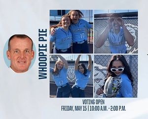 Image post by @culionssoftball on Instagram