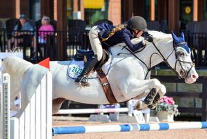 Image post by @gracescreative on Instagram