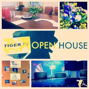 Image post by @lsutigertv on Instagram