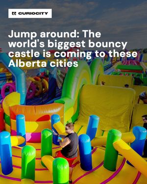 Image post by @curiocitycalgary on Instagram