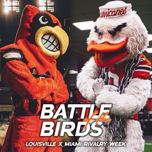 Image post by @um_sebastian on Instagram