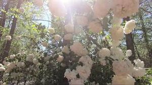 Video post by @k8.wind3y on YouTube
