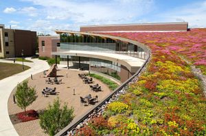 Image post by @uw_superior on Instagram