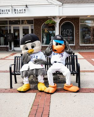 Image post by @newportgulls on Instagram