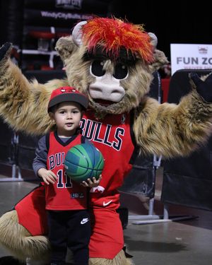 Image post by @windycitybulls on Instagram