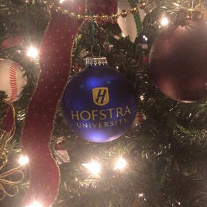 Image post by @hofstrau on Instagram