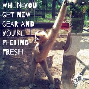 Image post by @ecnlgirls on Instagram
