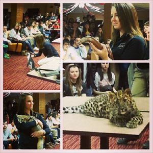 Image post by @buckeyethon on Instagram