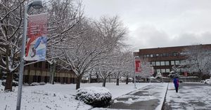 Image post by @stonybrooku on Instagram