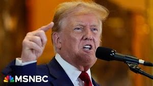 Video post by @msnbc on YouTube