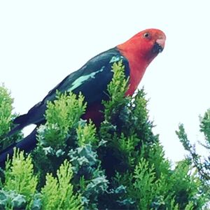Image post by @snaffle_it on Instagram