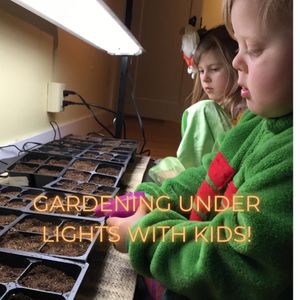 Image post by @kidsgardening on Instagram