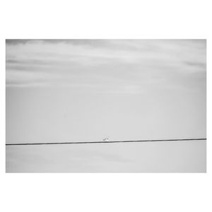 Image post by @bencatapane on Instagram