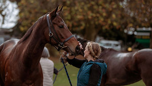 Image post by @NZHorseAmbulanceTrust on Facebook