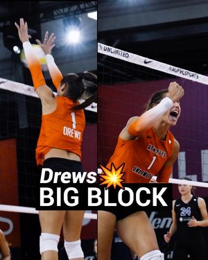Image post by @auprovolleyball on Instagram