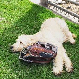 Image post by @eastonfastpitch on Instagram