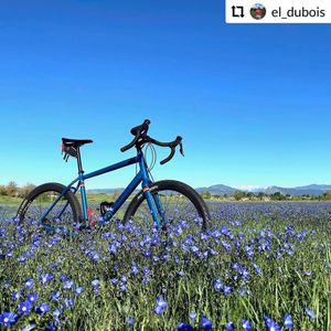Image post by @focofondo on Instagram