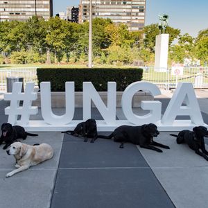 Image post by @unitednations on Instagram