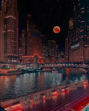 Image post by @chicago.explore on Instagram