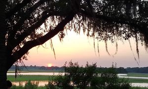 Image post by @kiawahresort on Instagram