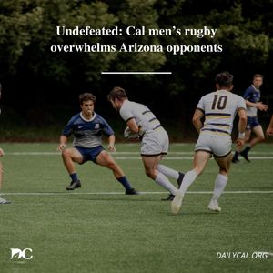 Image post by @dailycalsports on Instagram