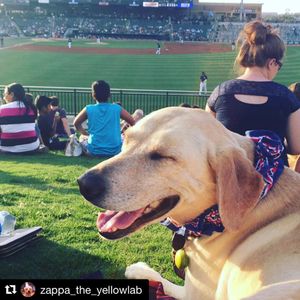 Image post by @colafireflies on Instagram
