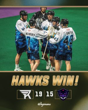 Image post by @rocknighthawks on Instagram