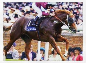 Image post by @australianturfclub on Instagram