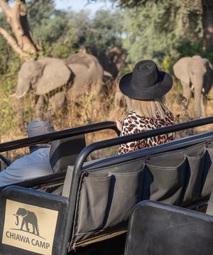 Image post by @chiawasafaris on Instagram